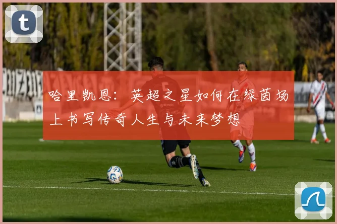 哈里凯恩：英超之星如何在绿茵场上书写传奇人生与未来梦想