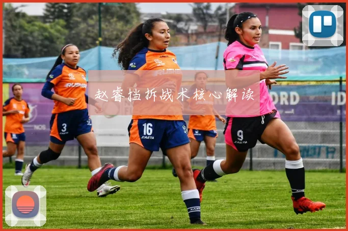 赵睿挡拆战术核心解读