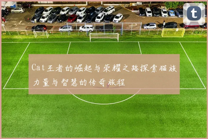 Cat王者的崛起与荣耀之路探索猫族力量与智慧的传奇旅程
