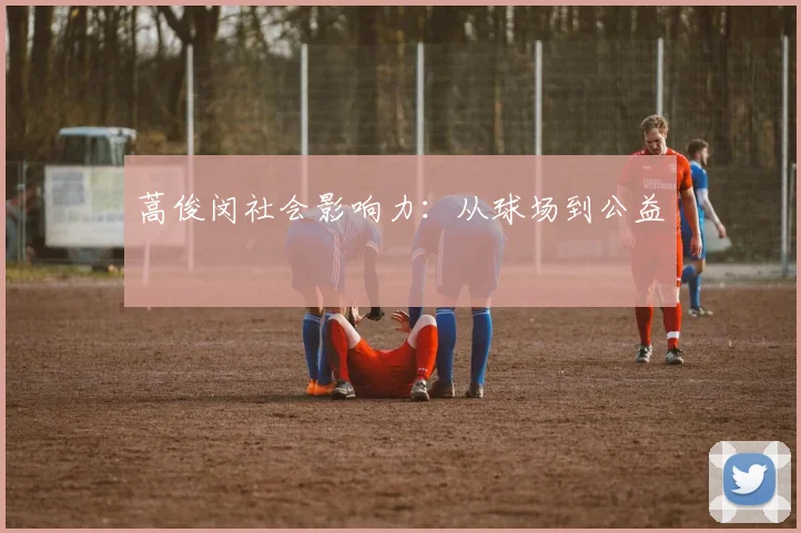 蒿俊闵社会影响力：从球场到公益