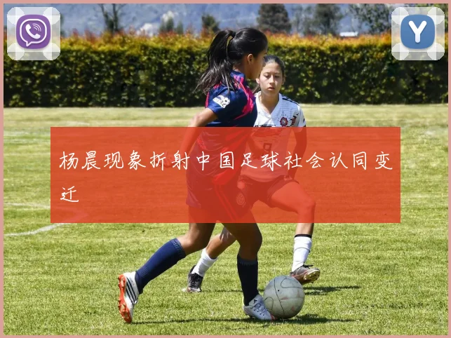 杨晨现象折射中国足球社会认同变迁