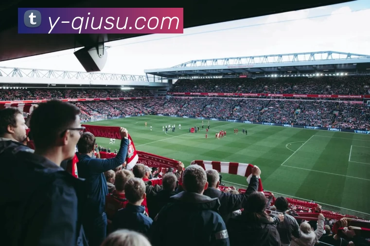 球速APP 体育赛事宣传图